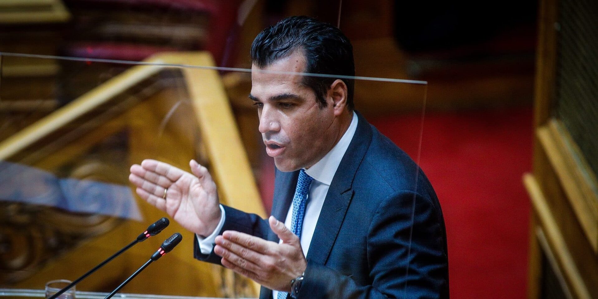 Ο Θάνος Πλεύρης