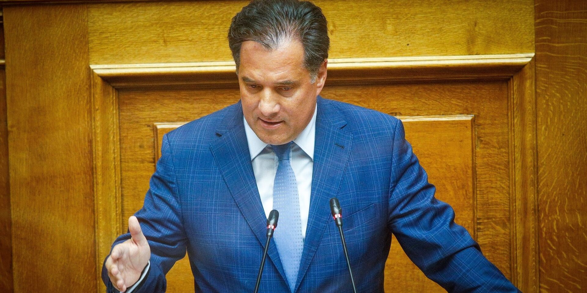 Ο Άδωνις Γεωργιάδης