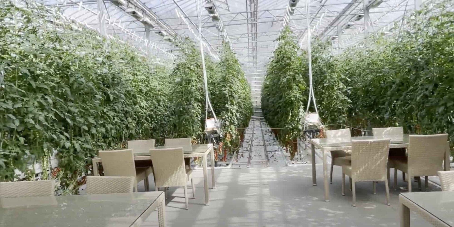 Το εστιατόριο Framescape Greenhouse Restaurant στην Ισλανδία
