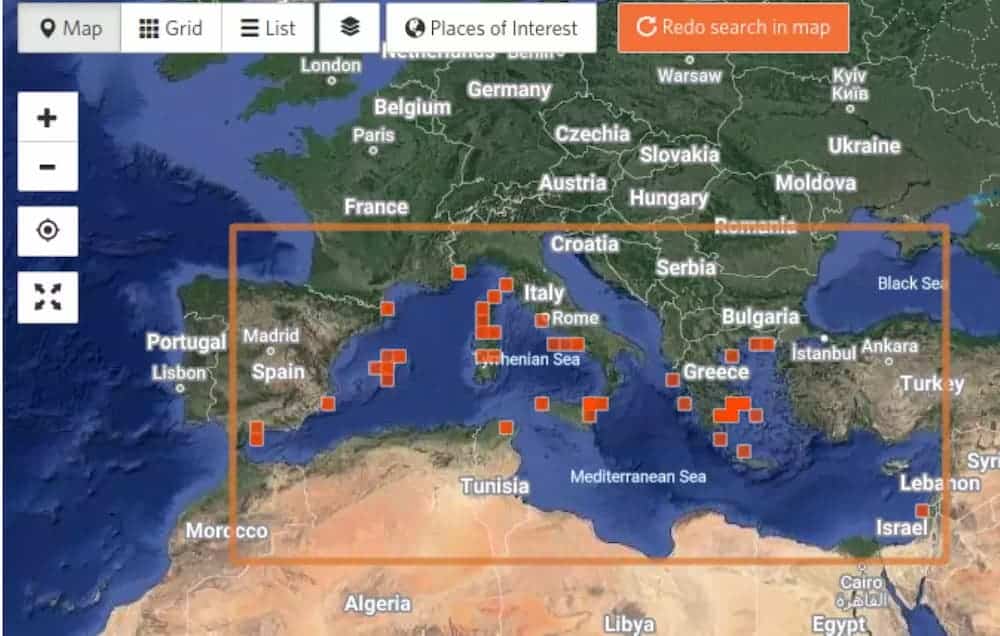 Οι μωβ μέδουσες έφτασαν και στην Ελλάδα και φέρνουν ανησυχία - Πού έχουν εντοπιστεί (εικόνα)
