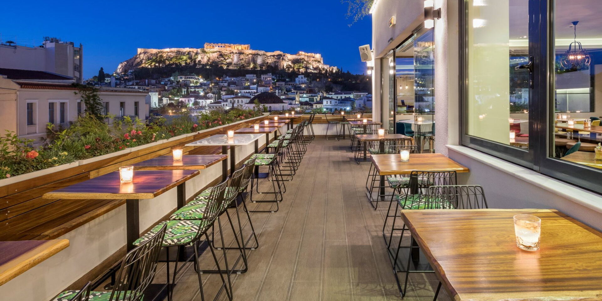Ms Roof Garden