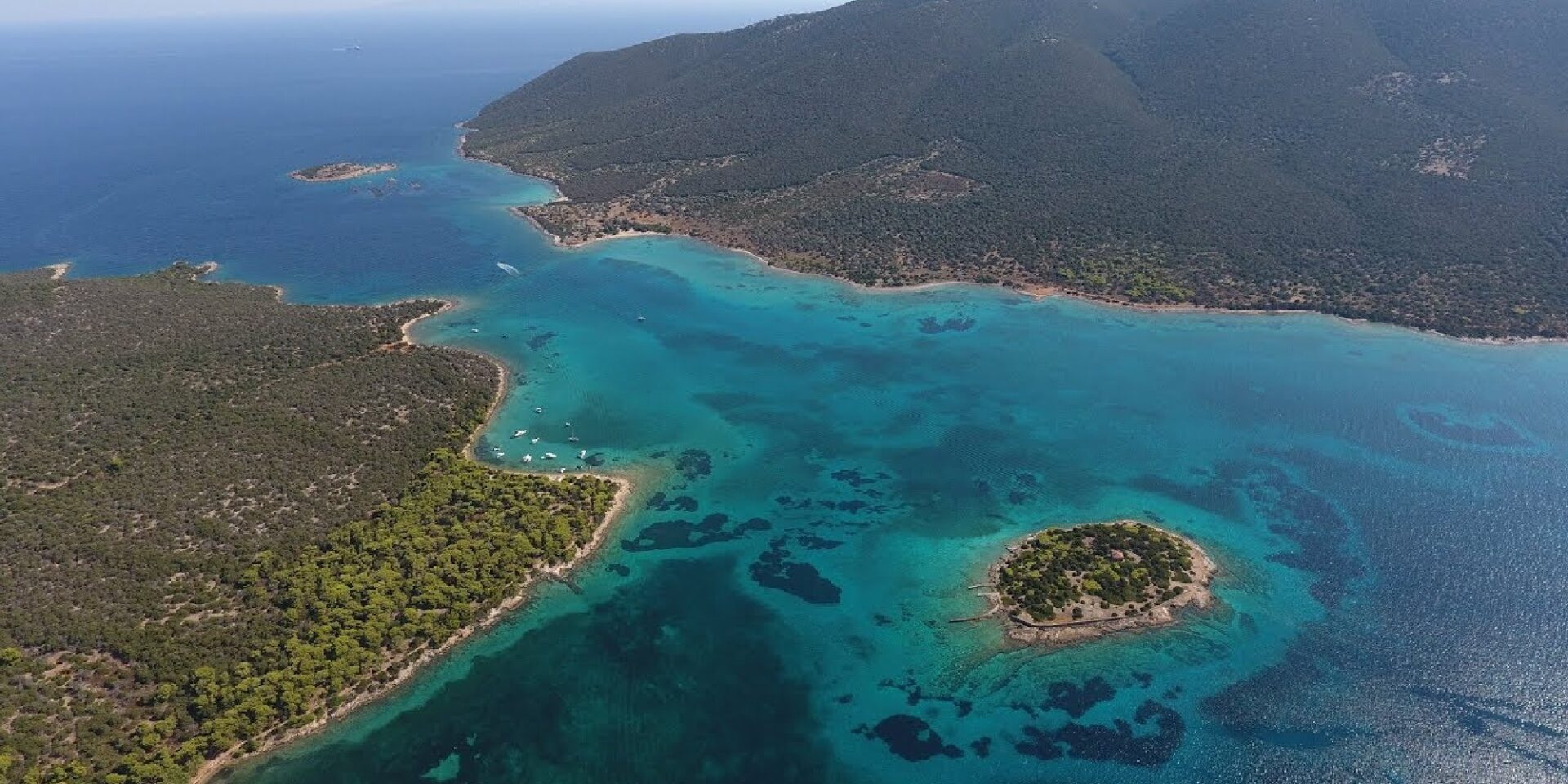 Πεταλιοί