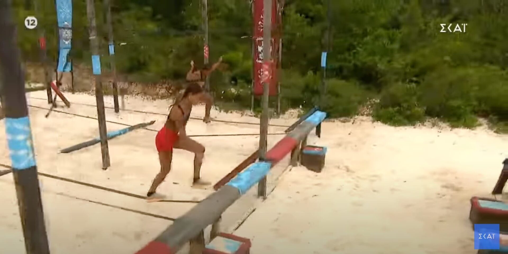 Survivor