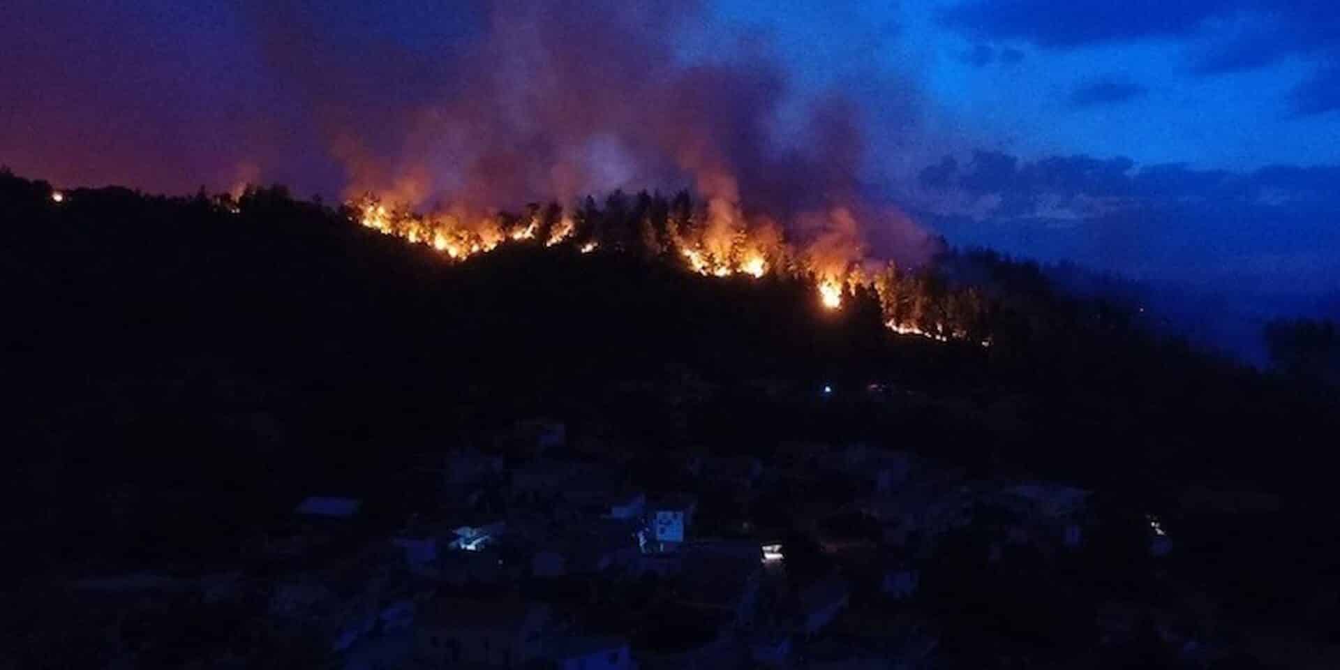Η φωτιά στην Εύβοια