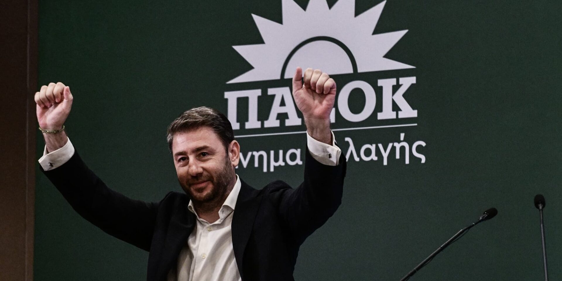 Ο Νίκος Ανδρουλάκης