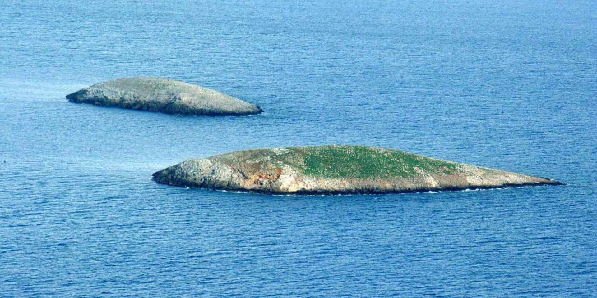 Βραχονησίδες Ίμια