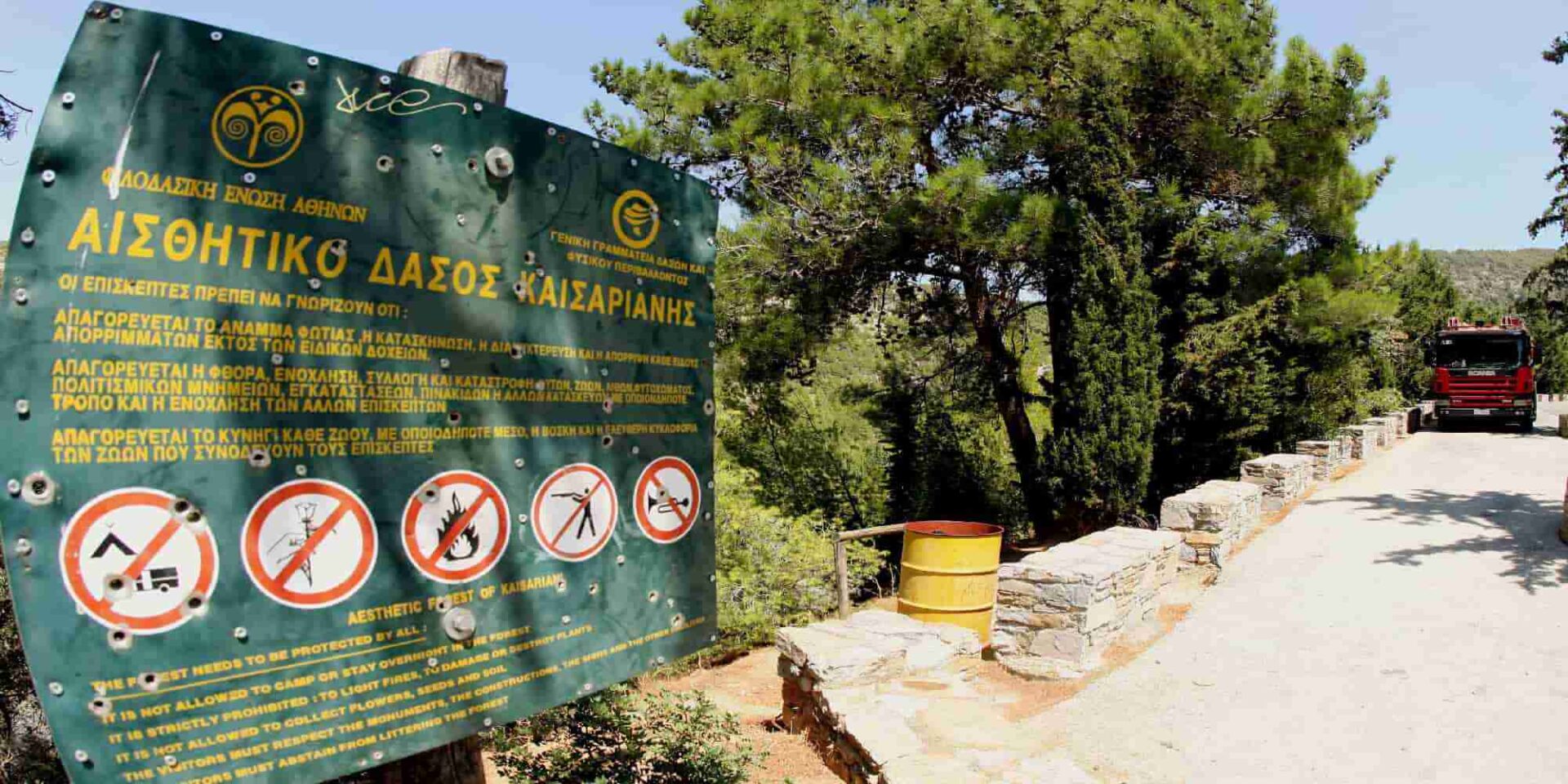 Δάσος Καισαριανής