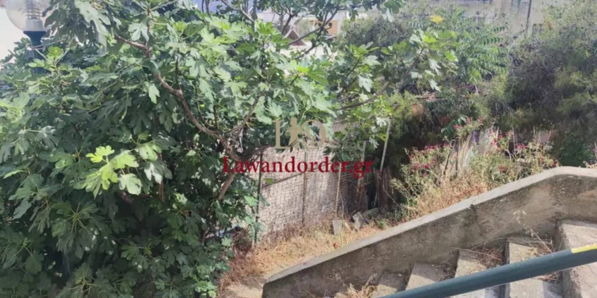 Θρίλερ στου Γκύζη