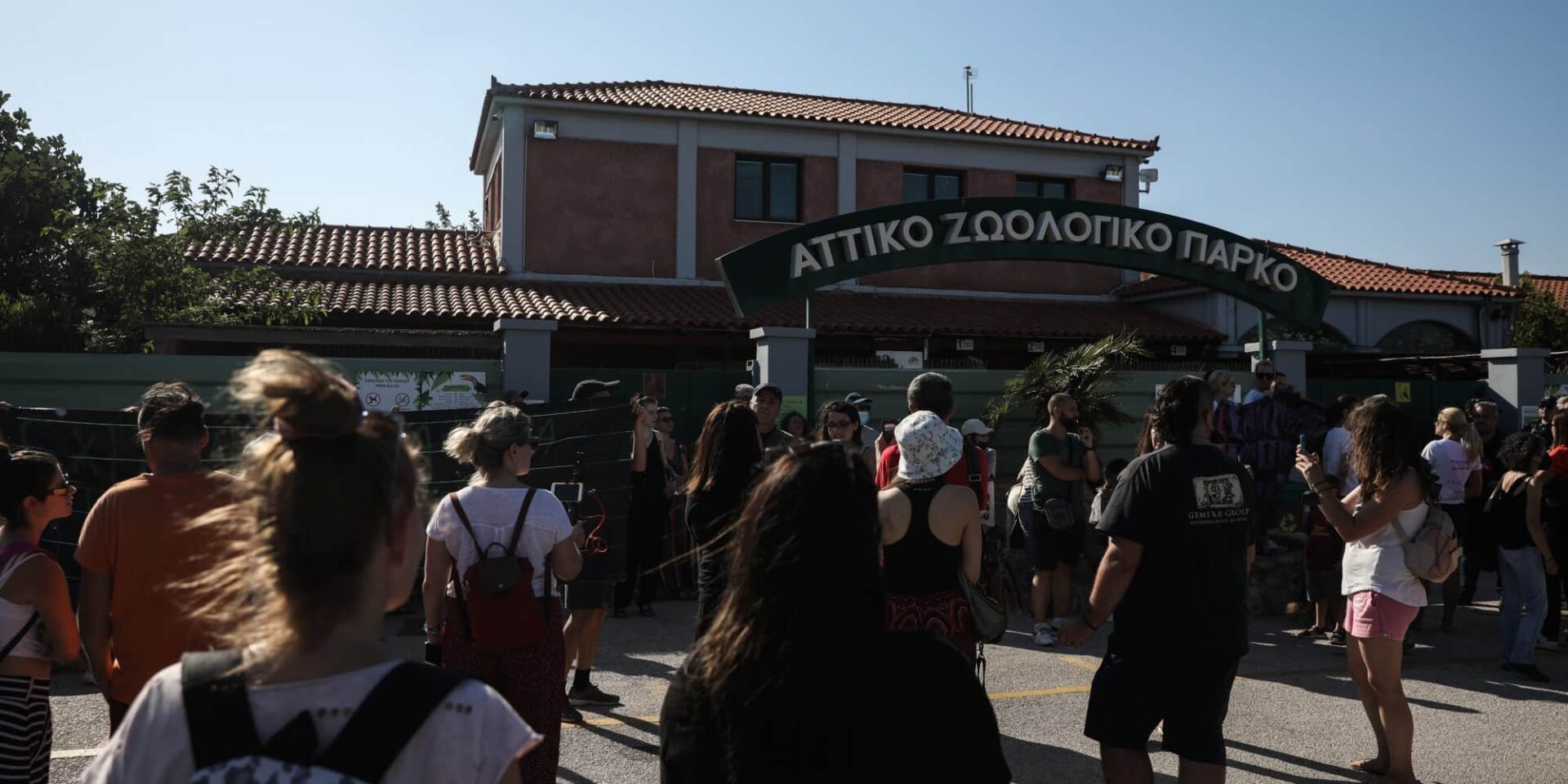 Συγκέντρωση διαμαρτυρίας έξω από το Αττικό Ζωολογικό Πάρκο για τη θανάτωση του χιμπατζή
