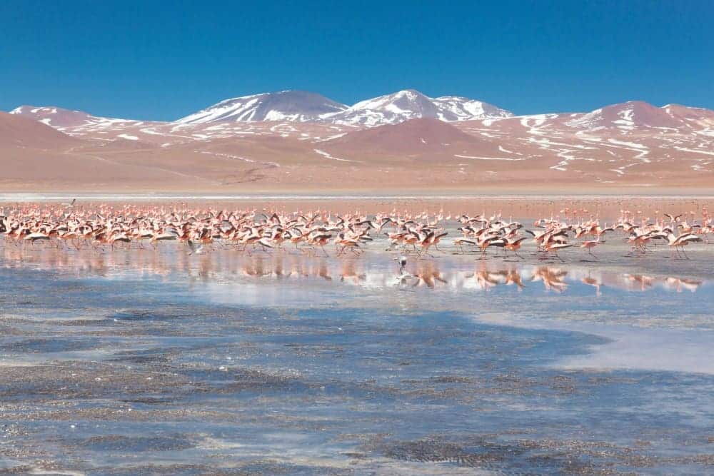 Η λίμνη Κολοράντα στη Βολιβία