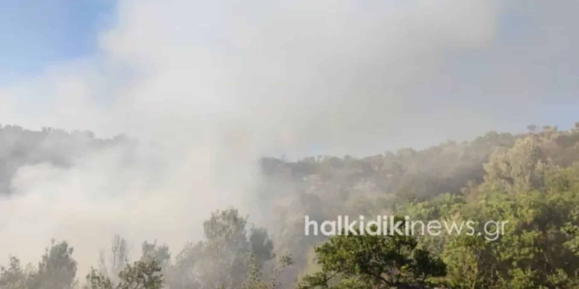 Μαίνεται η φωτιά στο Άγιο Όρος