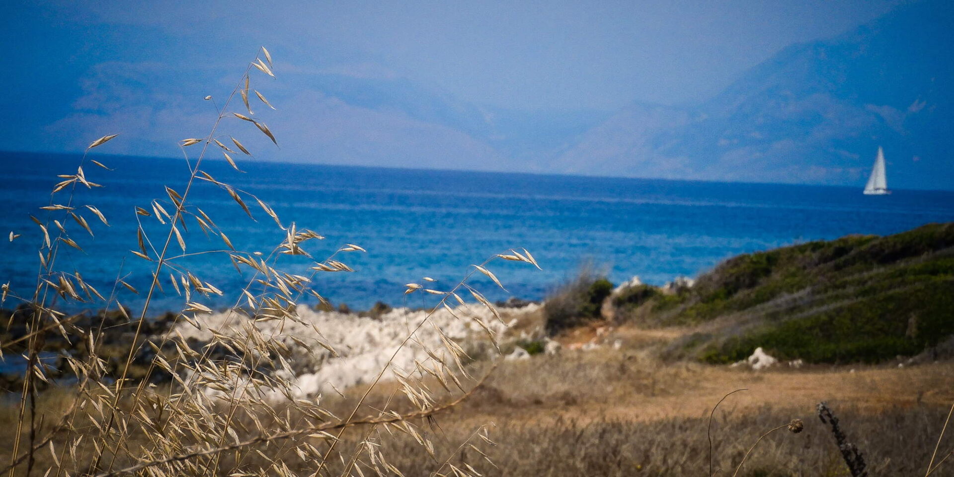 Αίθριος καιρός με φόντο την ακροθαλασσιά