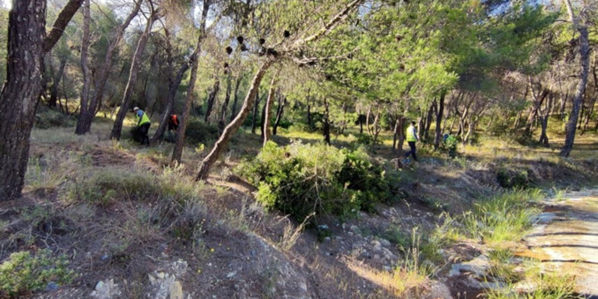 Άγιος Νικόλαος Σαλαμίνας