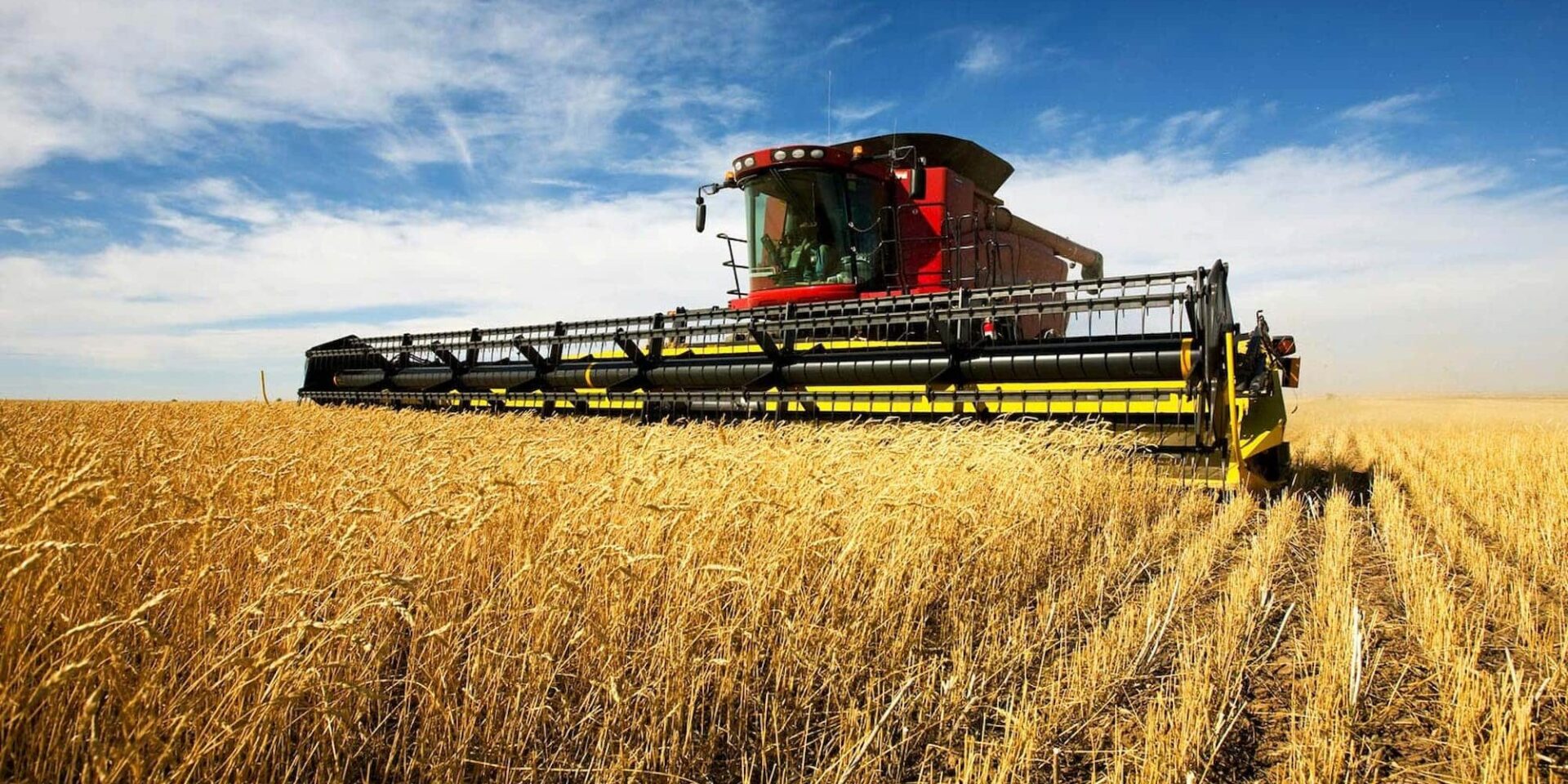 Προειδοποίηση του FAO για τα σιτηρά