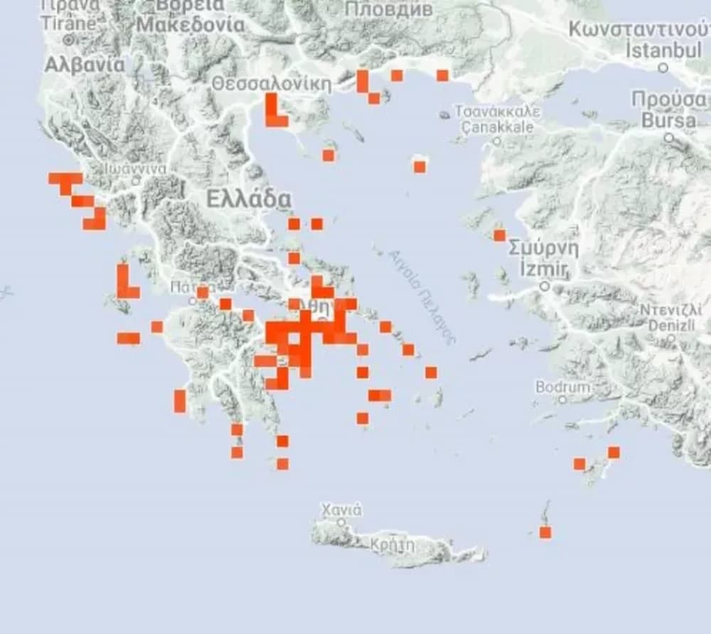 Μωβ μέδουσες: Σε ποιες περιοχές της Ελλάδας έχουν εμφανιστεί - Γιατί δεν πρέπει οι πολίτες να τις βγάζουν στην άμμο (εικόνα)