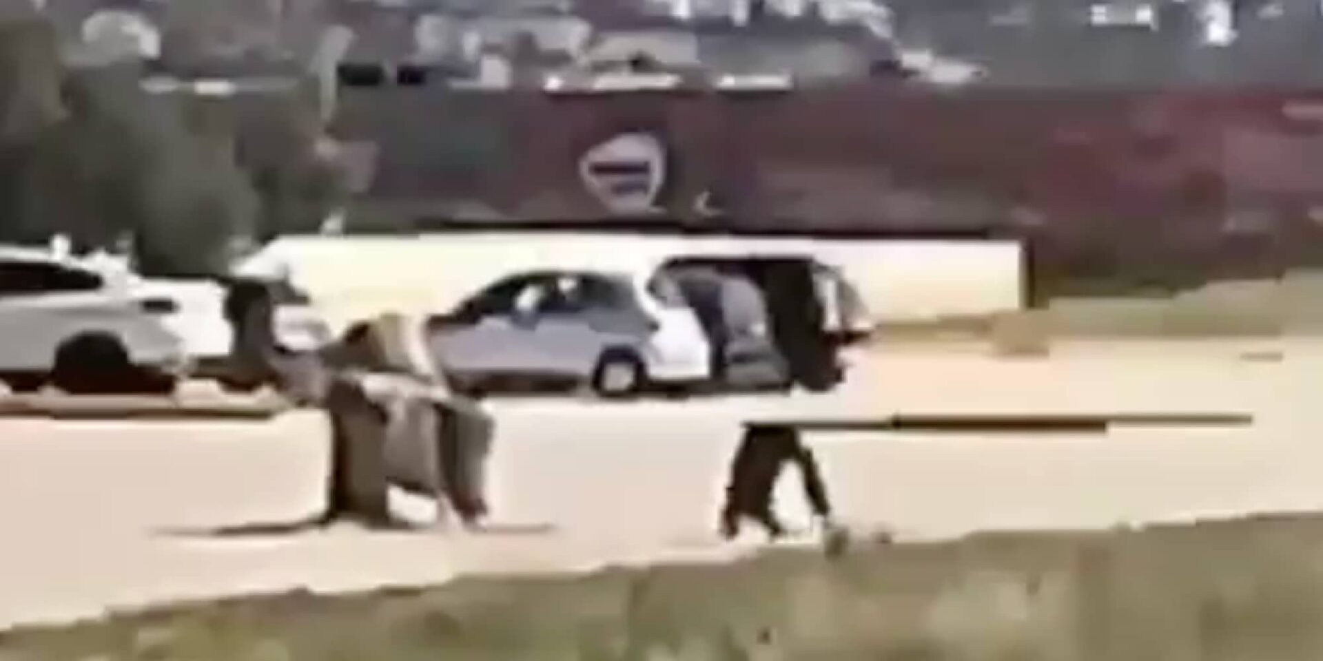 Ο χιμπατζής που το έσκασε από το Αττικό Ζωολογικό Πάρκο