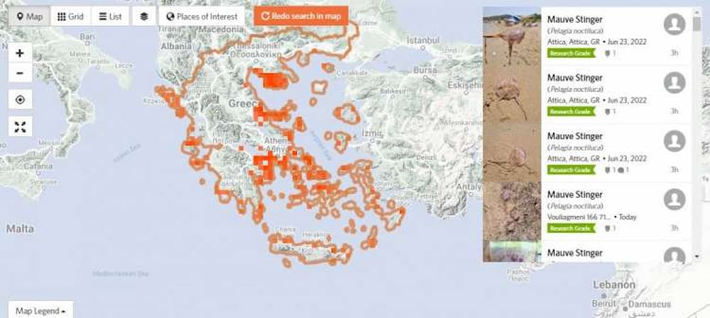 Ο χάρτης του iNaturalist για τις μωβ μέδουσες