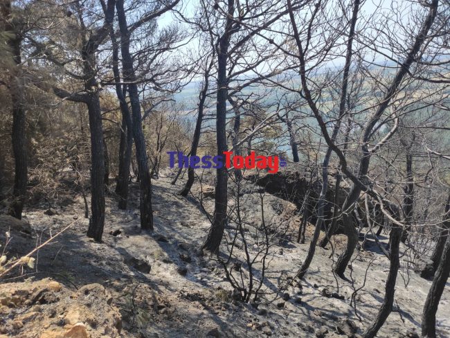 Φωτιά στον Έβρο