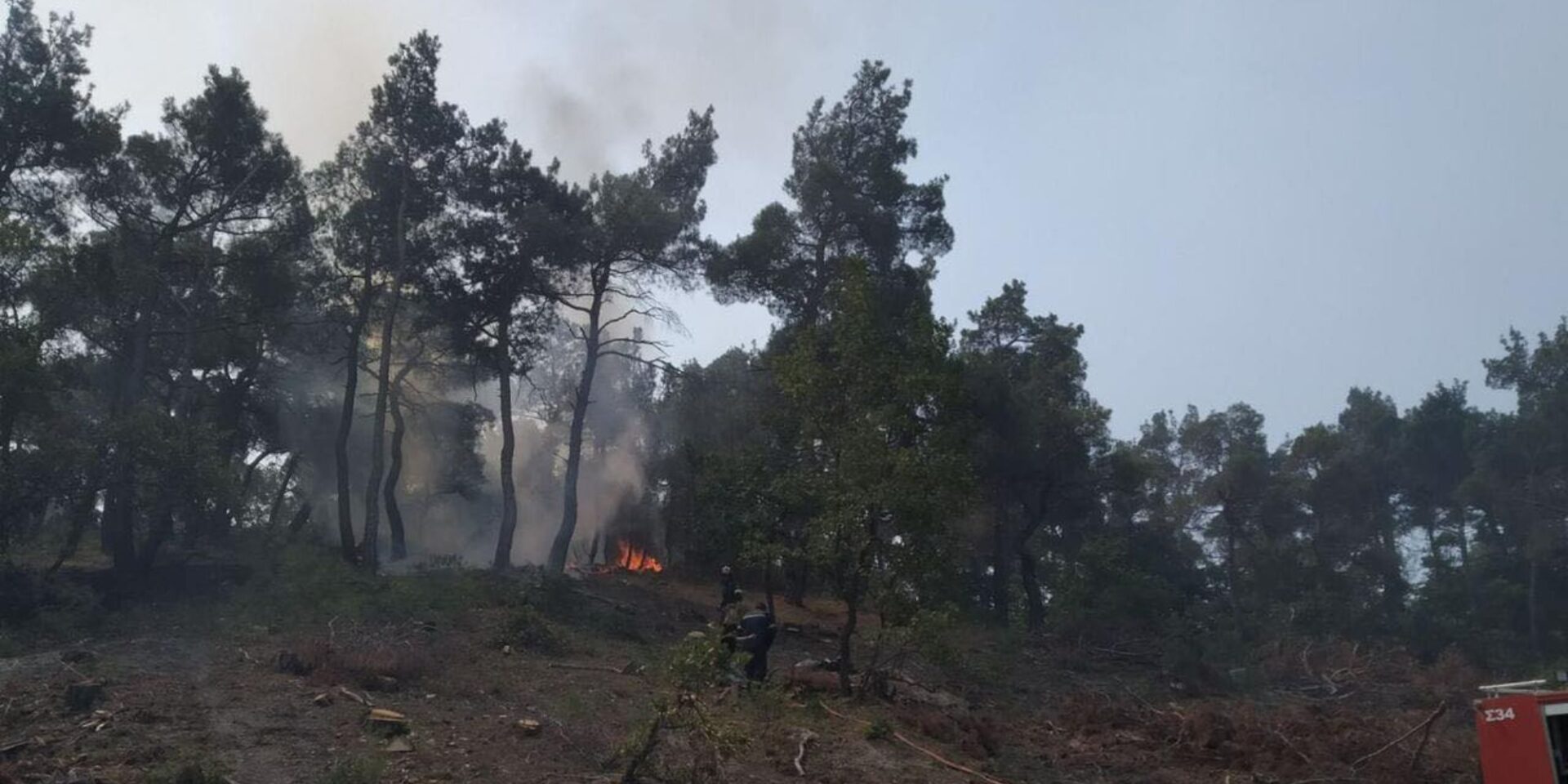 Αναζωπύρωση στη Δαδιά