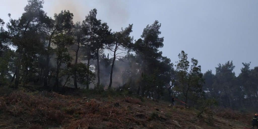 Φωτιά στον Έβρο: Υπεράνθρωπες προσπάθειες για να σωθεί το Πάρκο της Δαδιάς - Συνεχείς αναζωπυρώσεις (εικόνες & βίντεο)