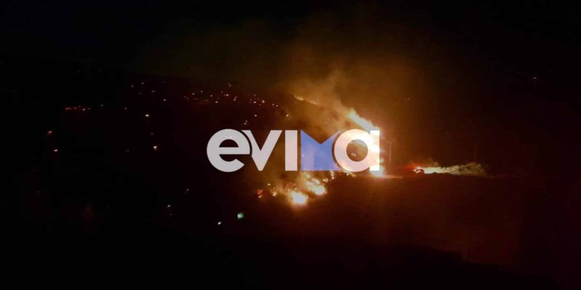 Εικόνα από την φωτιά στον Αυλώνα του δήμου Κύμης-Αλιβερίου