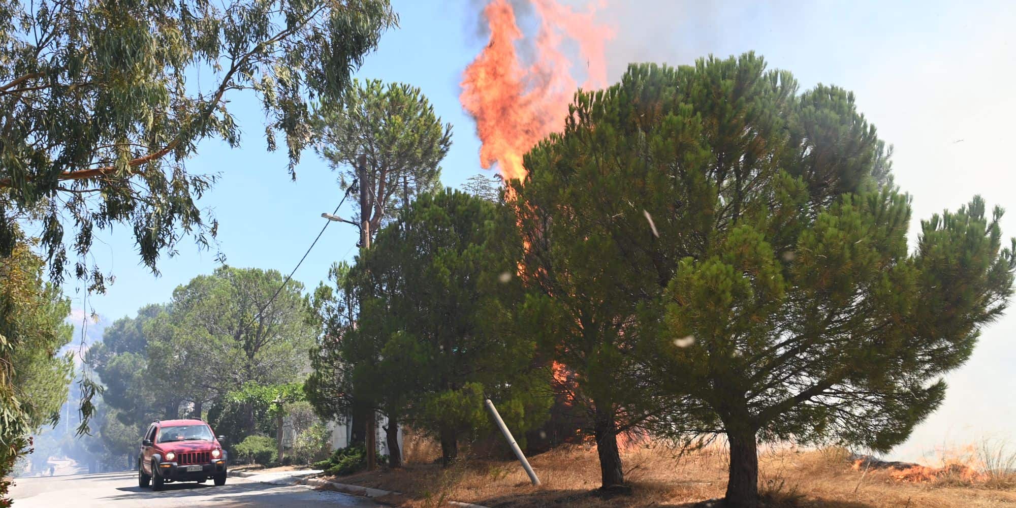 Δέντρο έχει αρπάξει φωτιά στην περιοχή της Πεντέλης