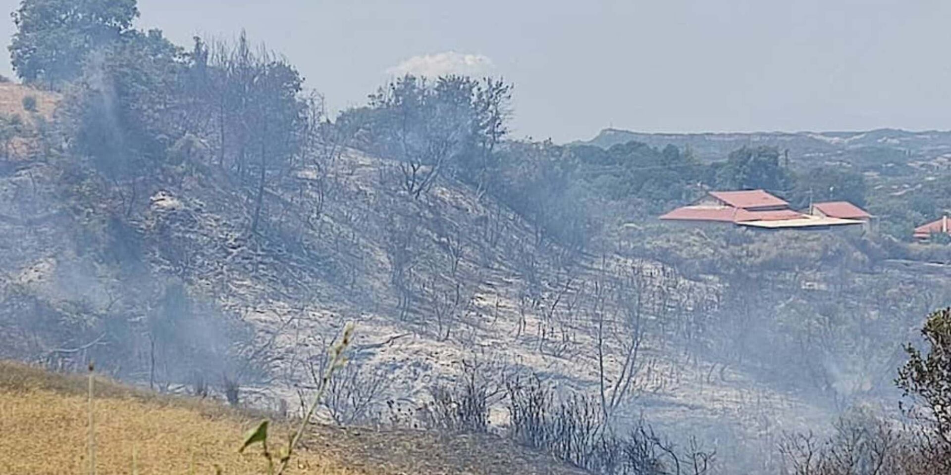 Εικόνα από τη φωτιά στη Ροδιά Ηλείας