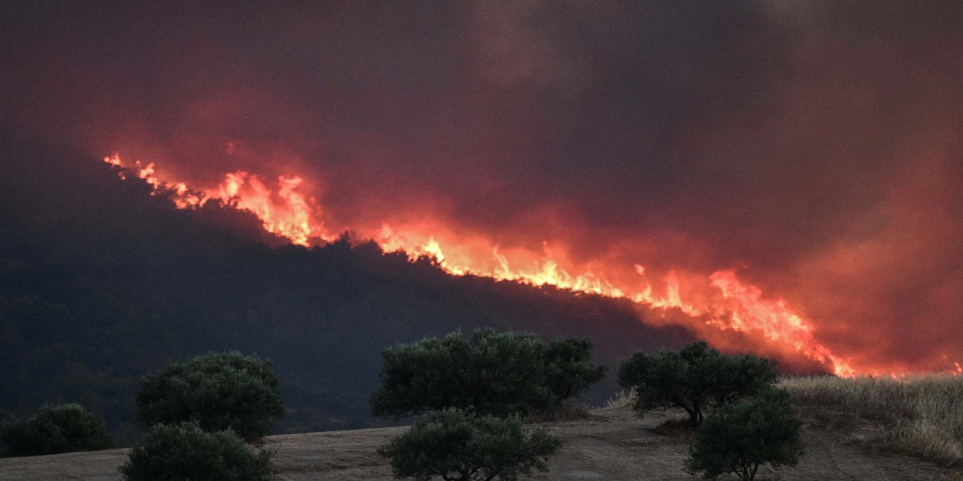 Φωτιά στα Κρέστενα στην Ηλεία