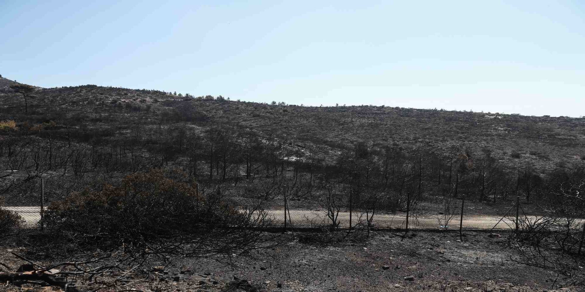 Καμμένα από το Ντράφι στην Πεντέλη
