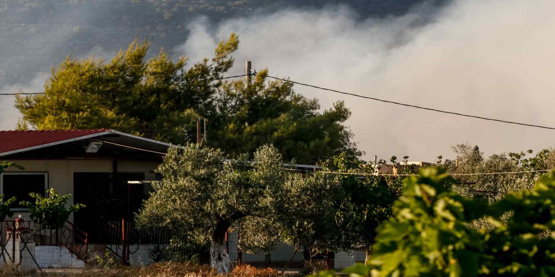 Πυρκαγιά στα Μέγαρα, Τετάρτη 20 Ιουλίου 2022