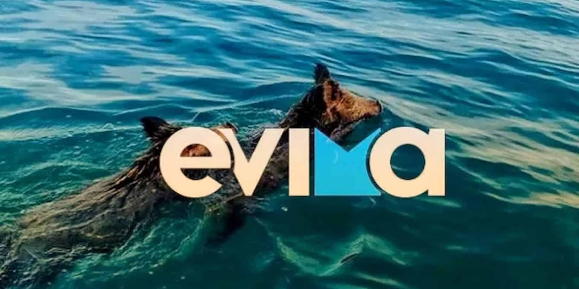 Αγριογούρουνα σε παραλία στην Εύβοια