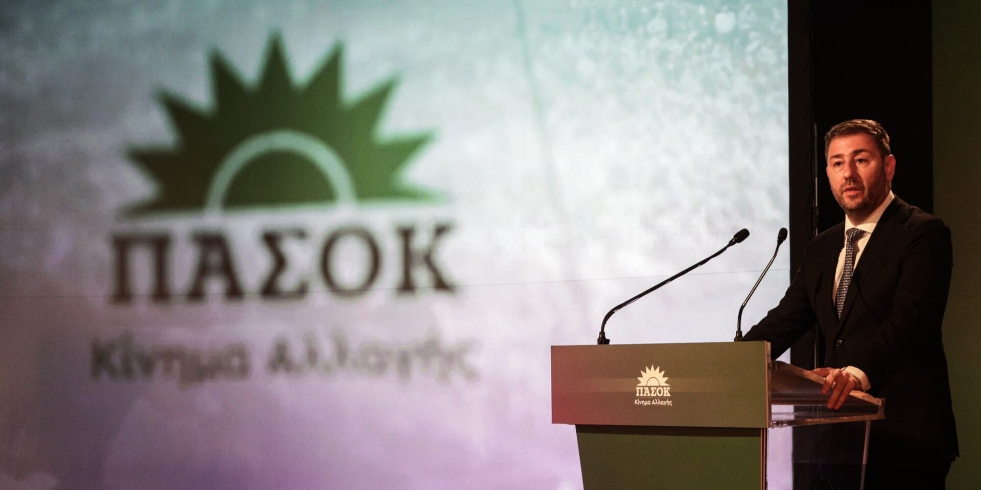 Ο πρόεδρος του ΠΑΣΟΚ, Νίκος Ανδρουλάκης