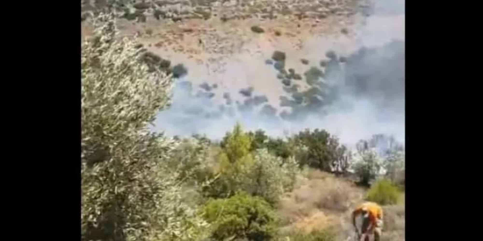 Φωτιά σε δασική έκταση στο Δίστομο Βοιωτίας - Σηκώθηκαν εναέρια μέσα (εικόνες & βίντεο)