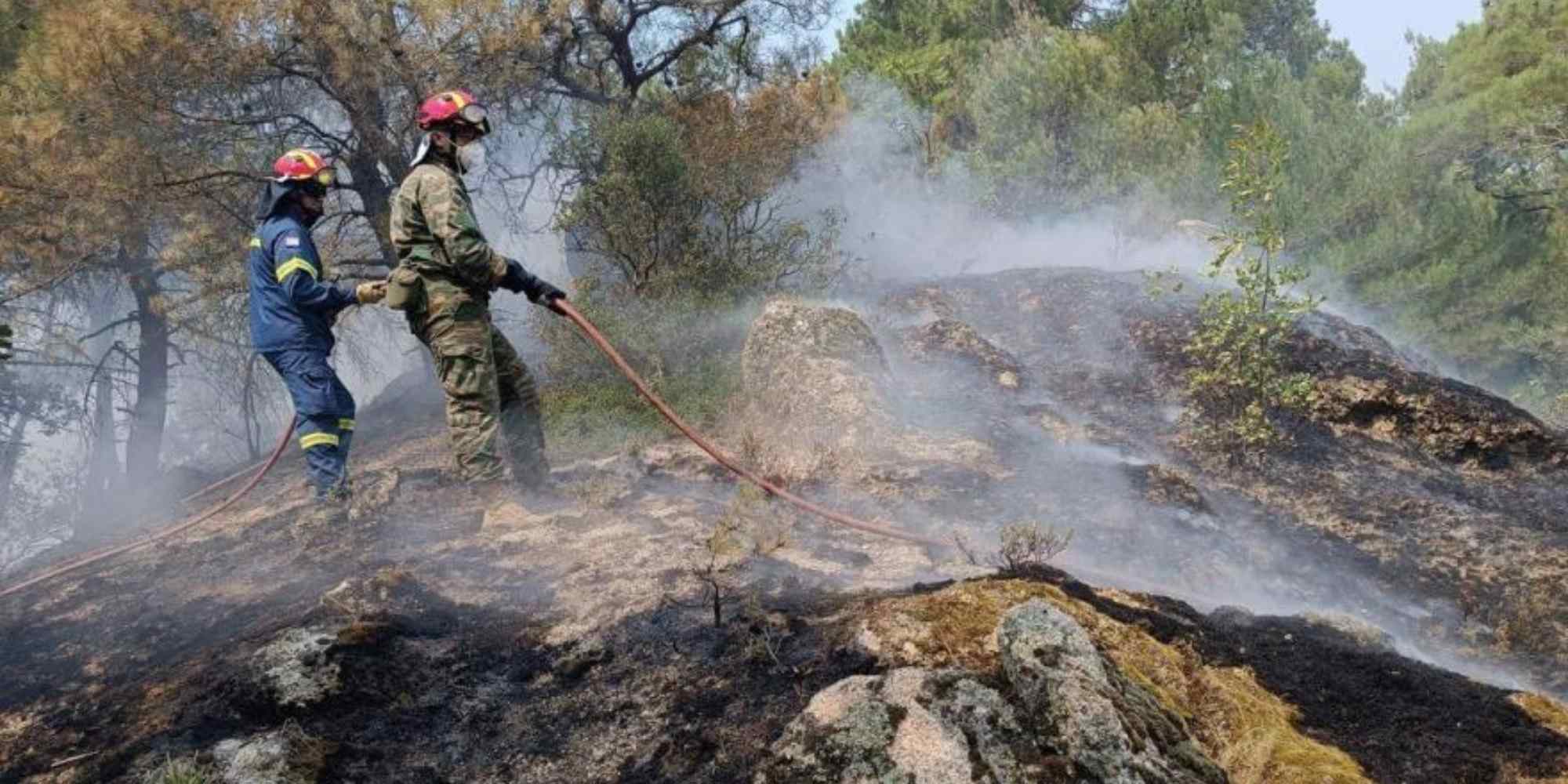 Πυροσβέστες στη μάχη κατάσβεσης στης φωτιάς στον Έβρο