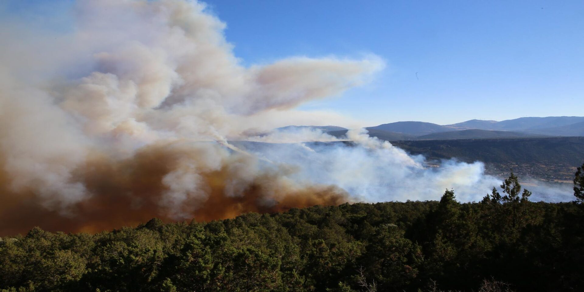 Φωτιά στην Άμφισσα, Δευτέρα 04 Ιουλίου 2022