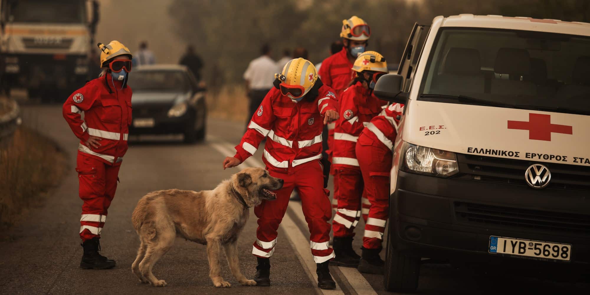Εθελοντές του Ερυθρού Σταυρού έσωσαν σκύλο στη φωτιά στη Βαρυμπόμπη