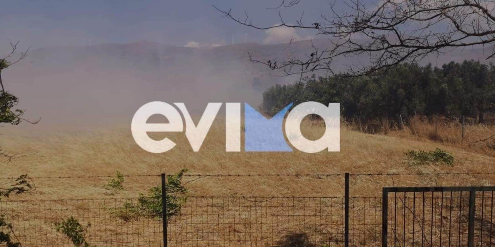 Φωτιά στην Κάρυστο στην Εύβοια