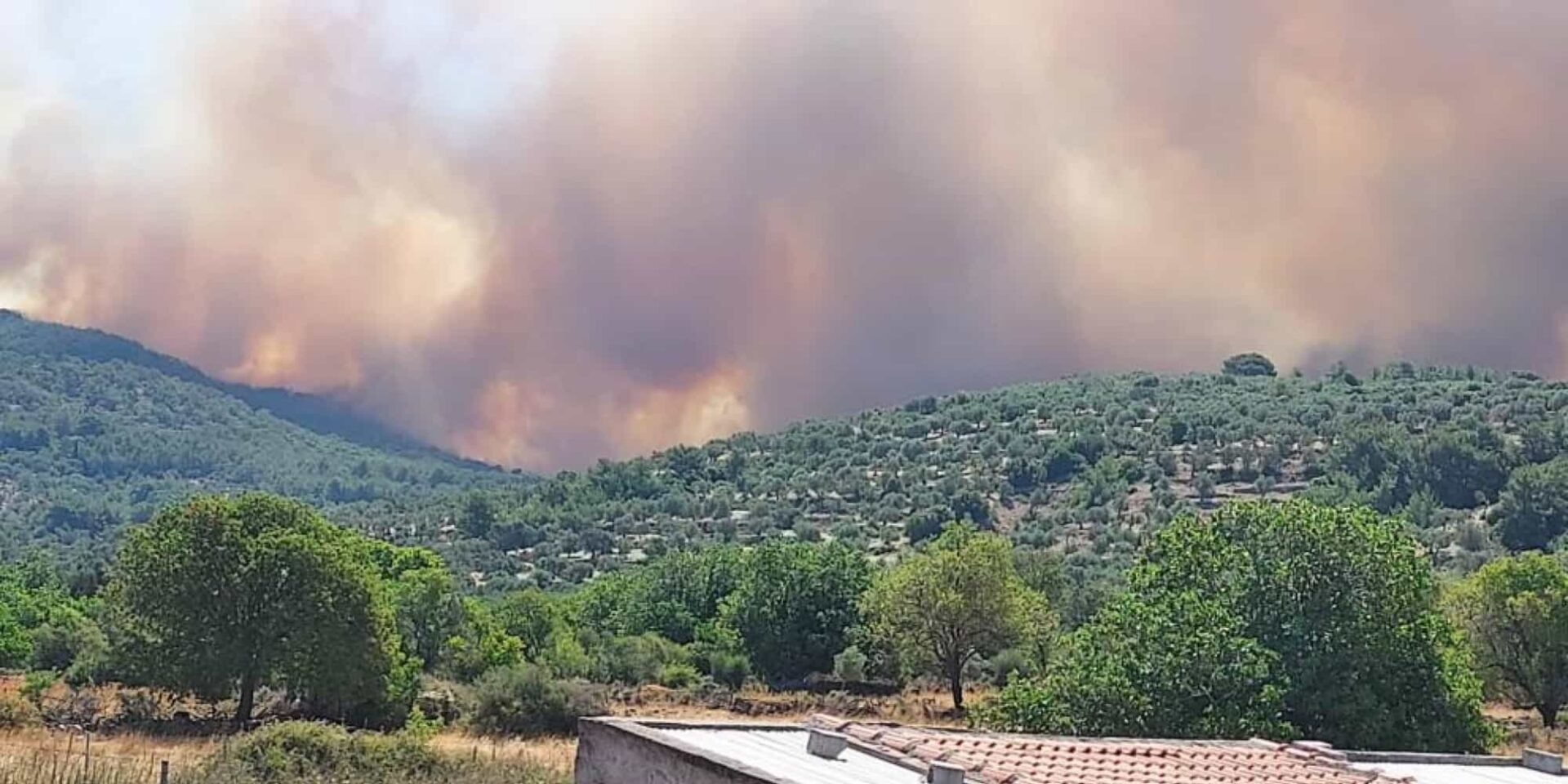Φωτιά στα Βατερά Λέσβου