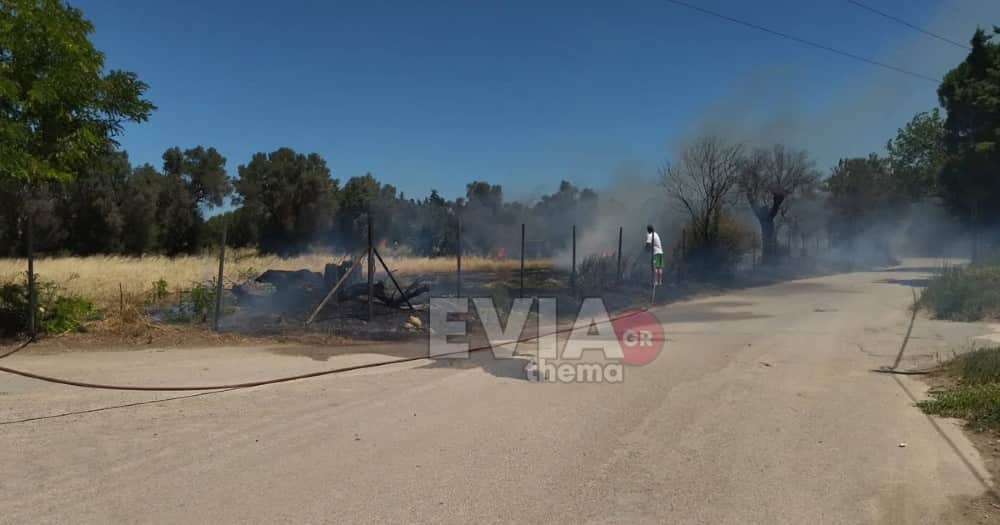 Πυρκαγιά σε αγροτική έκταση στο Βασιλικό Ευβοίας