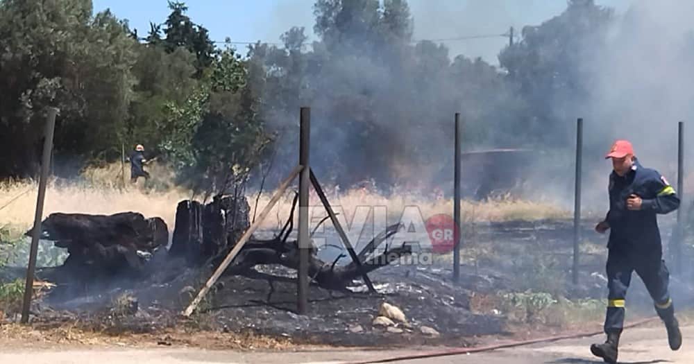 Πυρκαγιά σε αγροτική έκταση στο Βασιλικό Ευβοίας