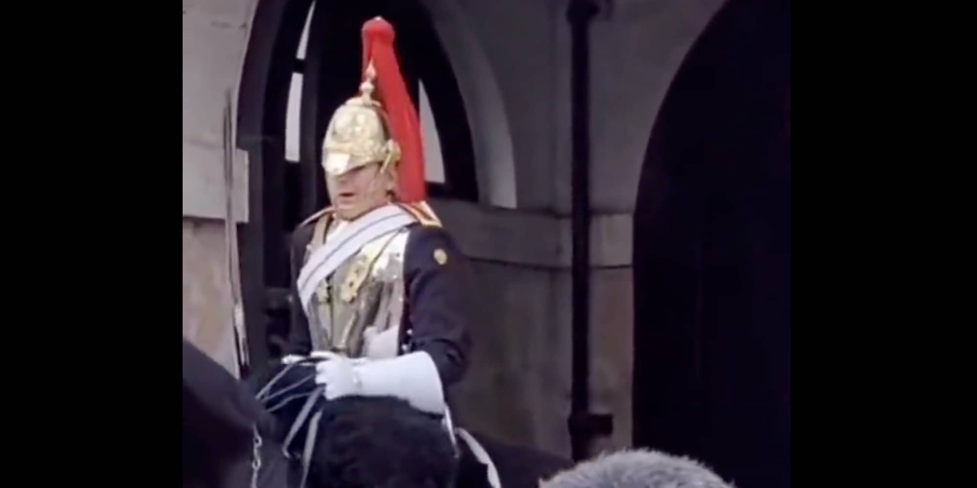 Φρουρός της βασίλισσας Ελισάβετ φώναξε σε τουρίστρια επειδή άγγιξε το άλογο του στη Βρετανία