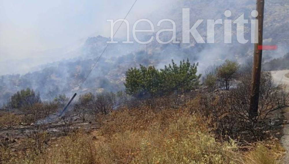 Φωτιά στο Ρέθυμνο