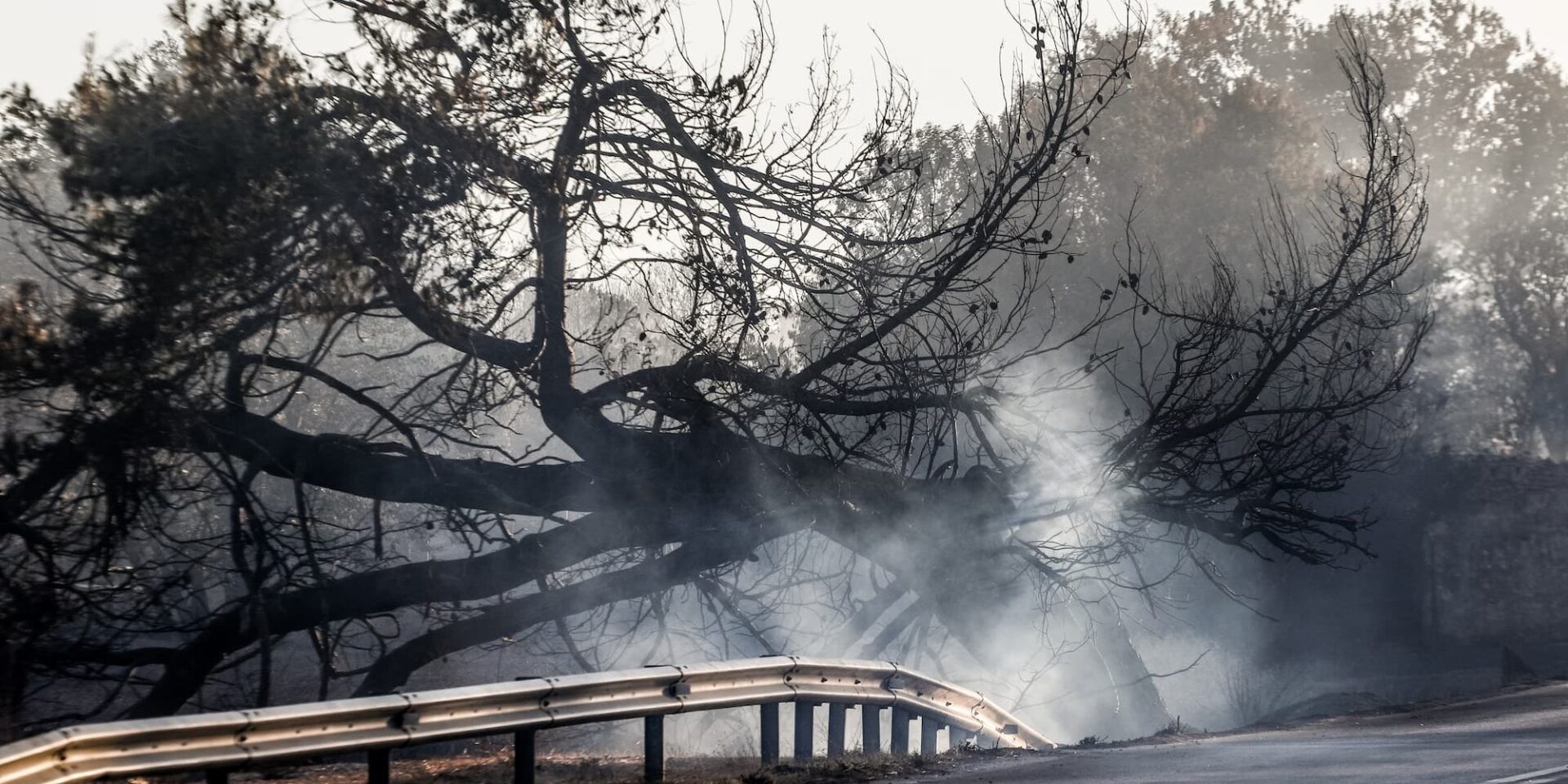 Σε ύφεση η φωτιά στα Μέγαρα, υπό έλεγχο στη Σαλαμίνα