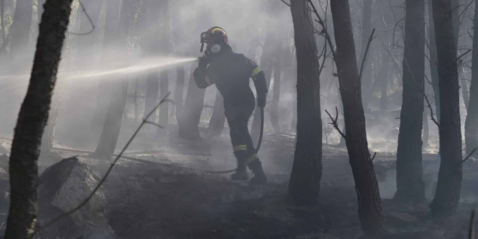 Πυροσβέστης στο σημείο όπου μαίνεται η φωτιά σε δασική έκταση
