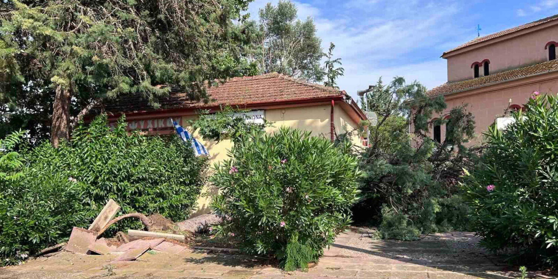 Πεσμένα δέντρα από την κακοκαιρία στο Κιλελέρ