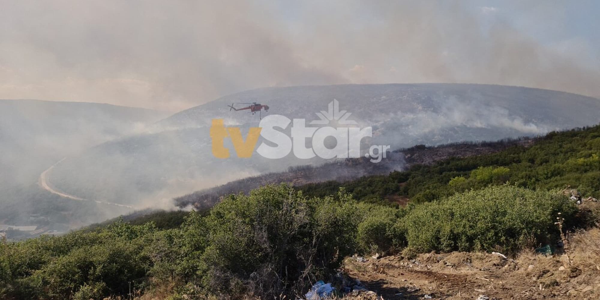 Φωτιά στο Πετρωτό Δομοκού