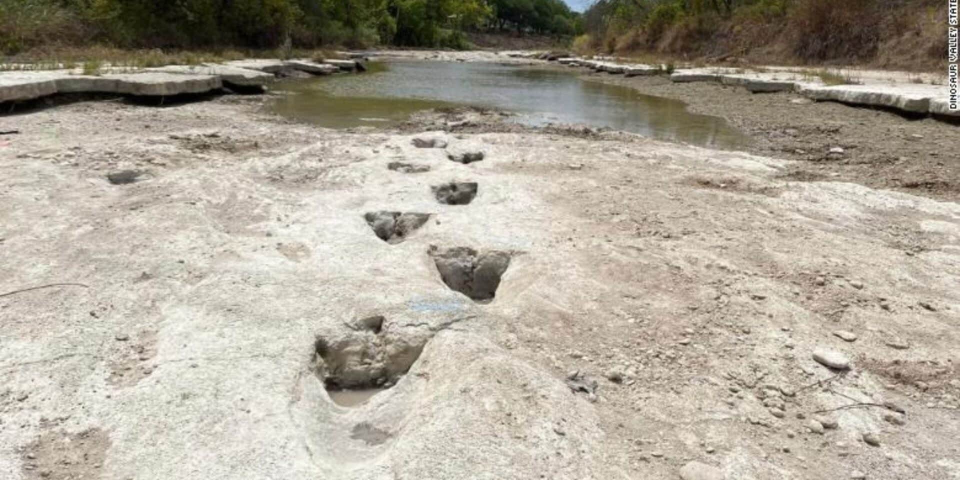 Ίχνη δεινοσαύρων στον ποταμό