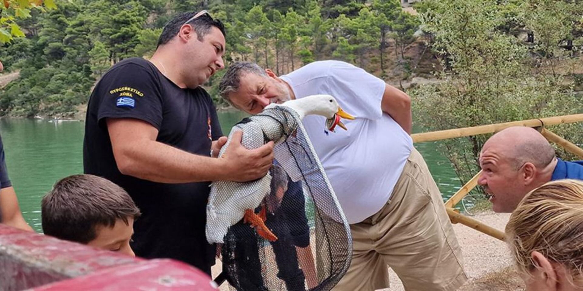 Η πάπια που βρέθηκε στη λίμνη Μπελέτσι