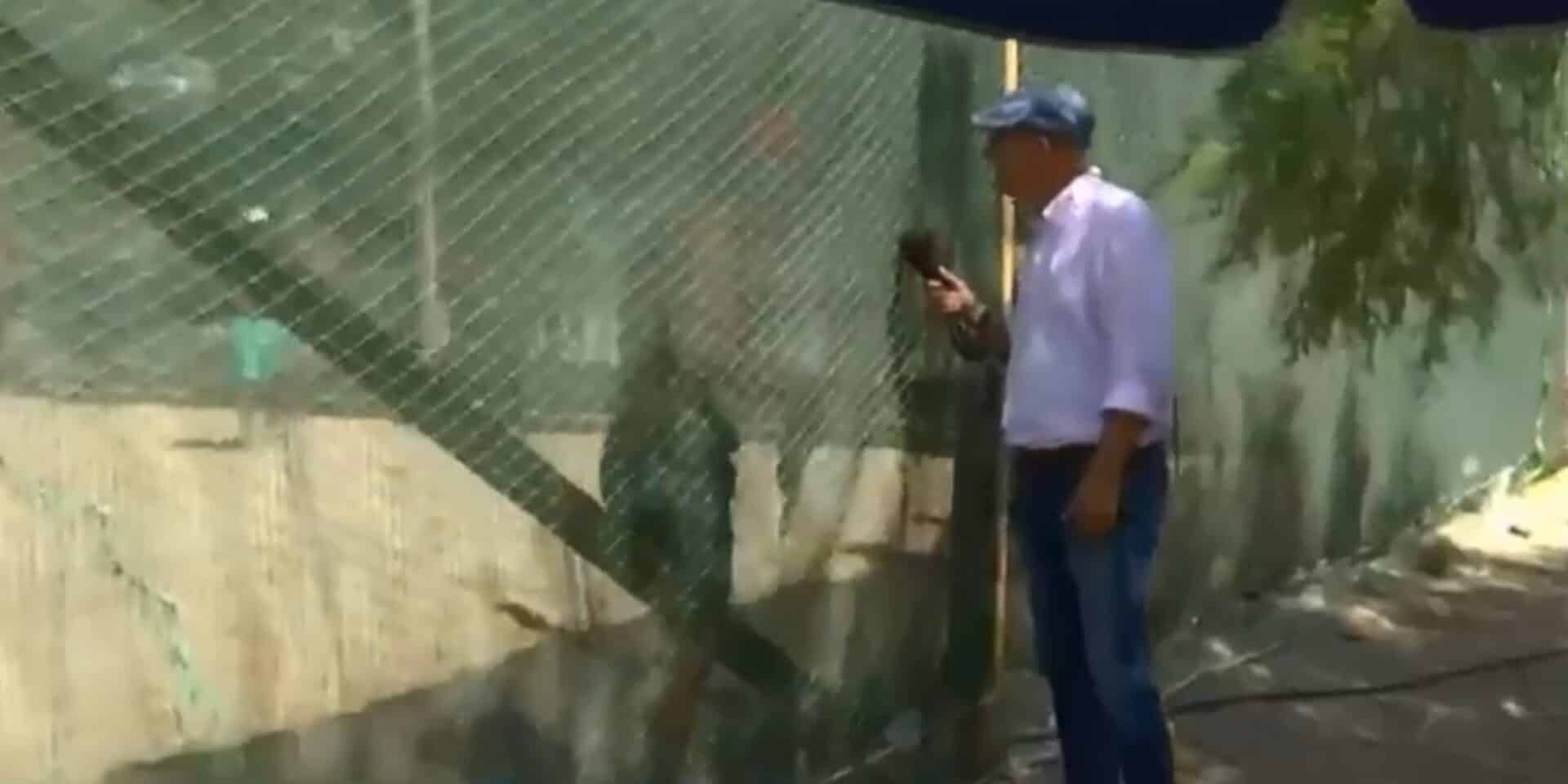 Ο Τσέλικας σε παραλία στην Ανάβυσσο