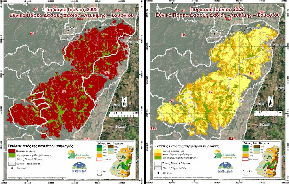 Φωτιά στη Δαδιά: Η περιβαλλοντική ζημιά είναι μικρότερη από ό,τι είχε εκτιμηθεί - Τι δείχνουν οι δορυφορικές εικόνες